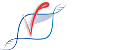 Logo Branco Valor Web - Contabilidade em São José do Rio Preto - SP | Valoweb Contabilidade - Contato – Novo